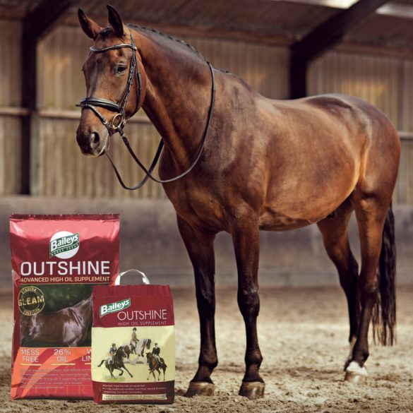 Baileys Outshine (magas olajtartalmú granulátum) 6,5KG