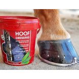 KEVIN BACON'S - Hoof Hoof Dressing 1000ml (színtelen)  + EQUIMOUR PATAÁPOLÓ SZETT