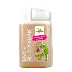 BEINSE & EICKE - MSM + Glükózamin 1000 ml