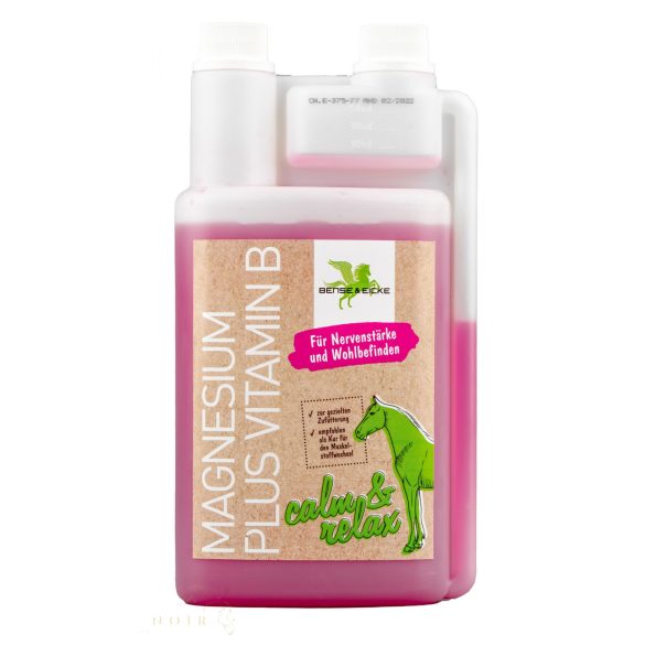 BEINSE & EICKE - Magnesium plus B-vitamin 1000 ml