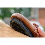 EQUIMOUR "NALA" FÉM ERŐS SZENNYEZŐDÉSHEZ KEFE 