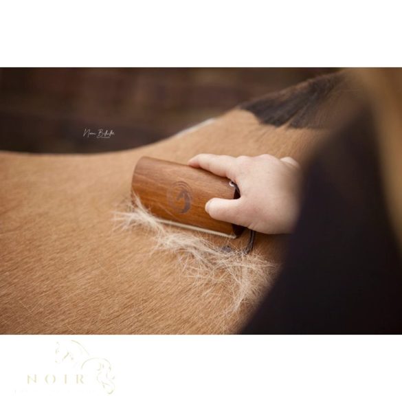 Equimour Őszi Szőrváltó Csomag – a tiszta és ápolt bunda titka