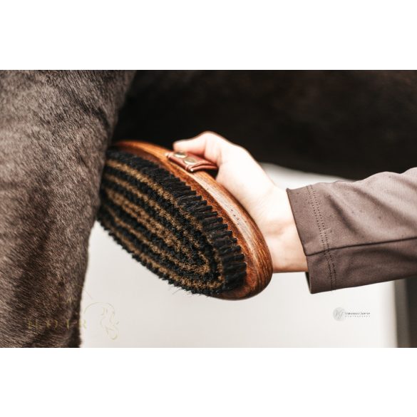 Equimour Őszi Szőrváltó Csomag – a tiszta és ápolt bunda titka