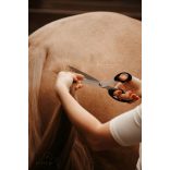 EQUIMOUR Sörény- és farokvágó olló duókészlet