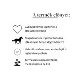 RESP ELIXIR LÉGÚTTISZTÍTÓ LOVAKNAK