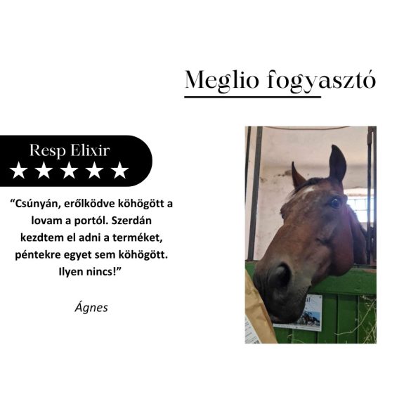 RESP ELIXIR LÉGÚTTISZTÍTÓ LOVAKNAK