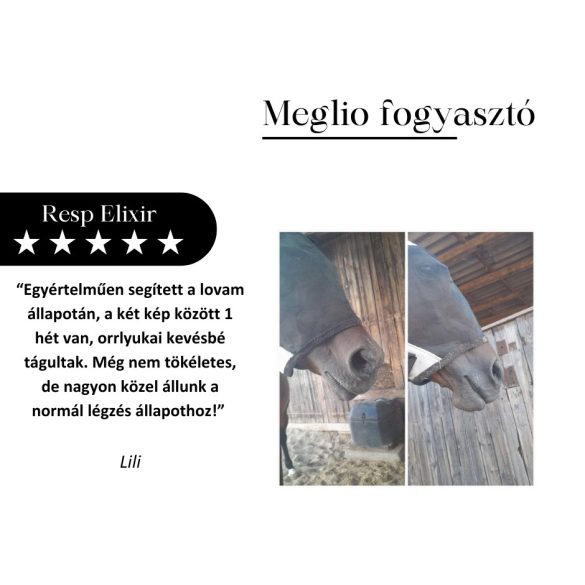 RESP ELIXIR LÉGÚTTISZTÍTÓ LOVAKNAK