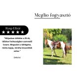 RESP ELIXIR LÉGÚTTISZTÍTÓ LOVAKNAK