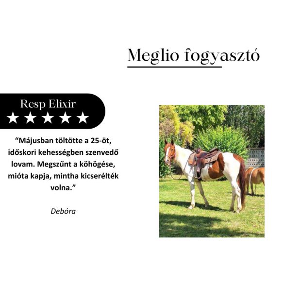 RESP ELIXIR LÉGÚTTISZTÍTÓ LOVAKNAK