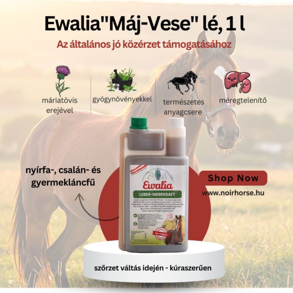 EWALIA Máj- és Veseápoló Folyadék Lovaknak - Az általános jó közérzet támogatásához