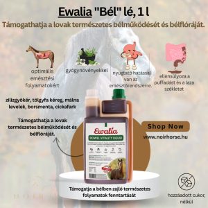 EWALIA Bélélesztő Folyadék Lovaknak 1L - Támogatja a lovak természetes bélműködését és bélflóráját.