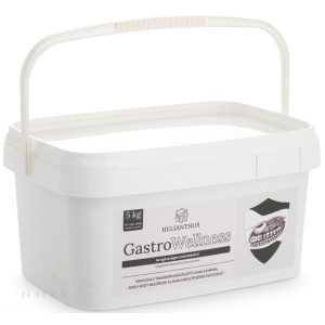 Helianthus - GastroWellness