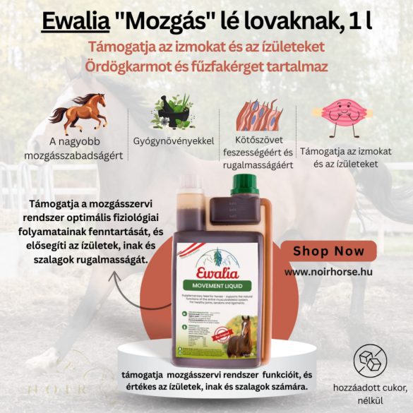 EWALIA Mozgásszervi folyadék lovaknak 1L - Ördögkarmot és fűzfakérget tartalmaz