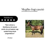 MEGLIO MULTIHORSE MULTIVITAMIN KIEGÉSZÍTŐ TAKARMÁNY LOVAKNAK 