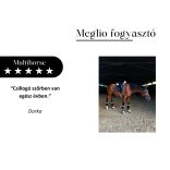 MEGLIO MULTIHORSE MULTIVITAMIN KIEGÉSZÍTŐ TAKARMÁNY LOVAKNAK 