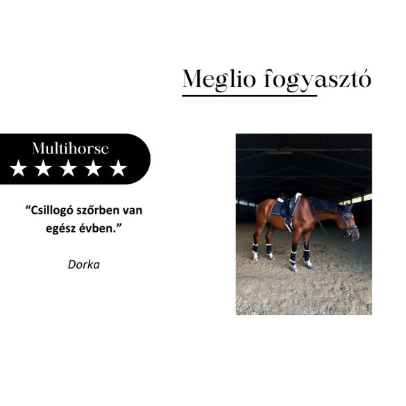 MEGLIO MULTIHORSE MULTIVITAMIN KIEGÉSZÍTŐ TAKARMÁNY LOVAKNAK 