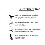 MEGLIO MSM ÍZÜLETVÉDŐ LOVAKNAK