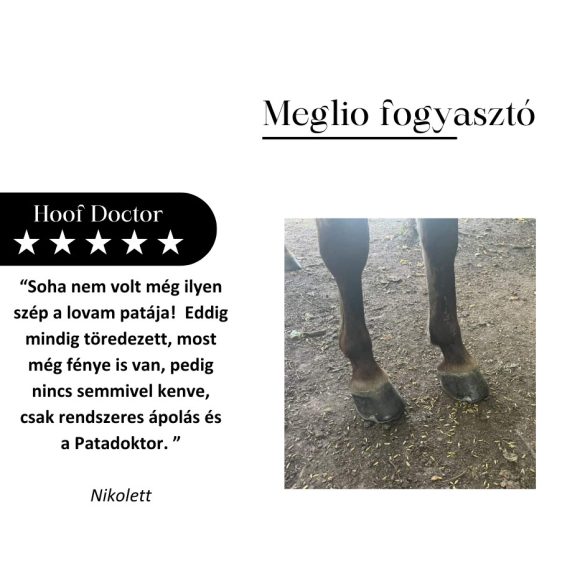 MEGLIO HOOF DOCTOR SZARUTÁMOGATÓ GYÓGYNÖVÉNYTONIK LOVAKNAK BIOTINNAL 500 ml ( Hoof Doctor ) 