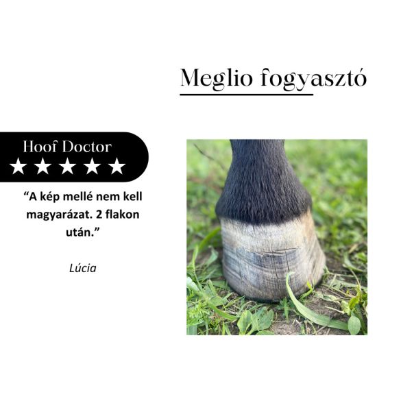MEGLIO HOOF DOCTOR SZARUTÁMOGATÓ GYÓGYNÖVÉNYTONIK LOVAKNAK BIOTINNAL 500 ml ( Hoof Doctor ) 
