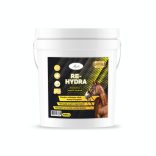 MEGLIO RE-HYDRA ELEKTROLIT ÉS SÓPÓTLÓ LOVAKNAK