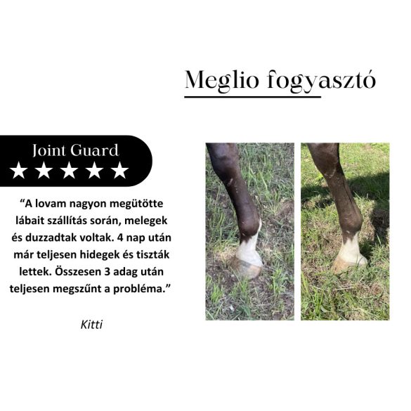 MEGLIO JOINT GUARD KOMPLEX ÍZÜLETVÉDŐ LOVAKNAK