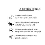 MEGLIO DIGEST SHIELD GYOMORVÉDŐ-SAVLEKÖTŐ LOVAKNAK