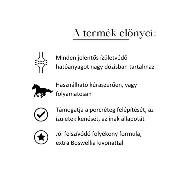 MEGLIO VITA-JOINT KOMPLEX ÍZÜLETVÉDŐ FOLYADÉK BOSWELLIÁVAL 500ml