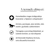 MEGLIO VITA-JOINT GOLD KOMPLEX ÍZÜLETVÉDŐ LOVAKNAK ÖRDÖGCSÁKLYÁVAL 500ml