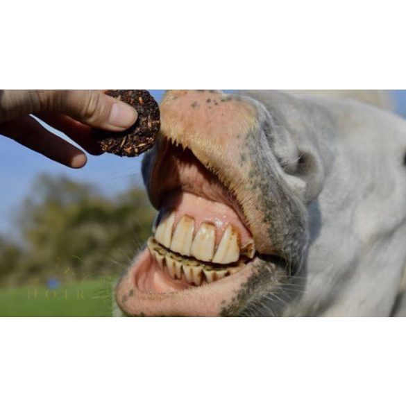 STUD MUFFIN - jutalomfalat 80 g