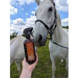 CXEVALO - SZÜRKE LÓ-SPRAY -GYORS ÉS HATÉKONY TISZTÍTÁS 500 ml