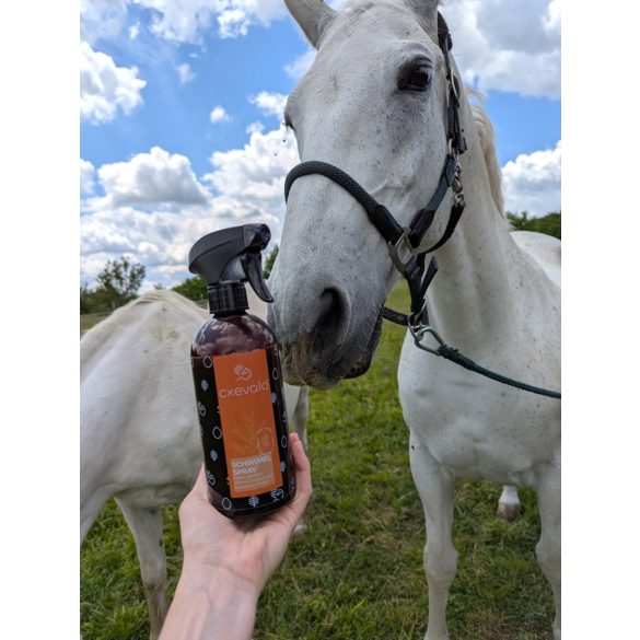 CXEVALO - SZÜRKE LÓ-SPRAY -GYORS ÉS HATÉKONY TISZTÍTÁS 500 ml