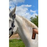 CXEVALO - SZÜRKE LÓ-SPRAY -GYORS ÉS HATÉKONY TISZTÍTÁS 500 ml