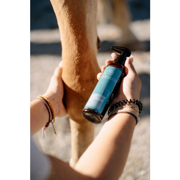 CXEVALO - MSM REGENERÁLÓ GÉL 150 ml - Támogatja az inak, szalagok, izmok és ízületek regenerálódását