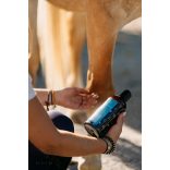 CXEVALO - MSM REGENERÁLÓ GÉL 500 ML - Támogatja az inak, szalagok, izmok és ízületek regenerálódását