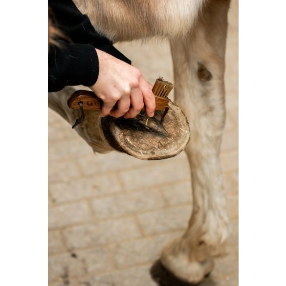 EQUIMOUR PATA DUO SZETT