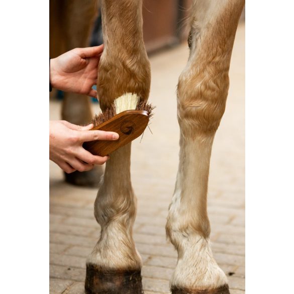 EQUIMOUR PATA DUO SZETT