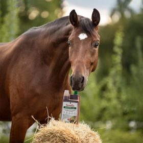 EWALIA - Takarmánykiegészítők 