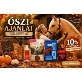ŐSZI CSOMAGAJÁNLATOK 