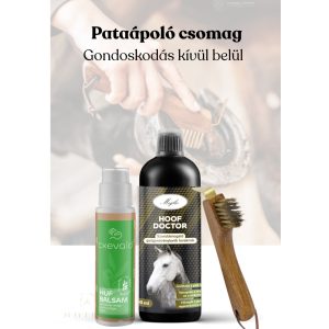 Őszi Pataápoló Csomag – teljes körű védelem belülről és kívülről
