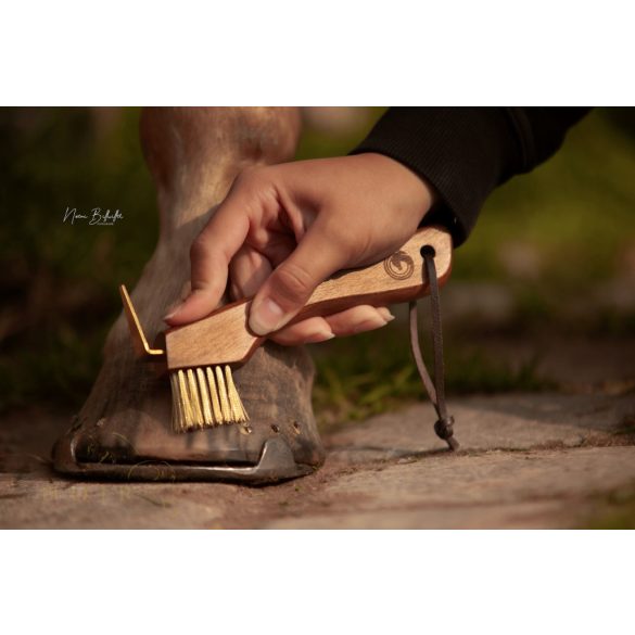 Őszi Pataápoló Csomag – teljes körű védelem belülről és kívülről